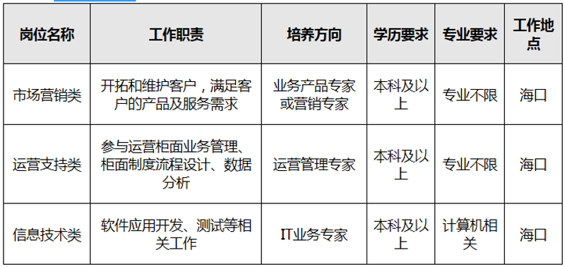 儋州软件开发:科技触角下的创新加速